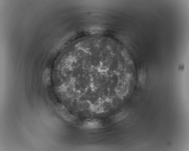 X0000112830667200909111359