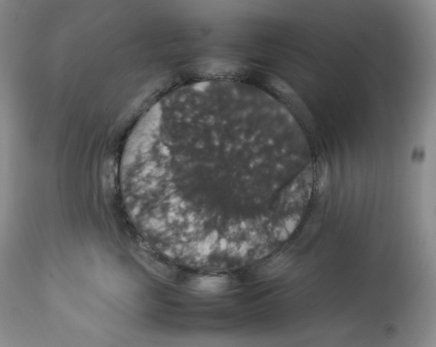 X0000112830669200909111359