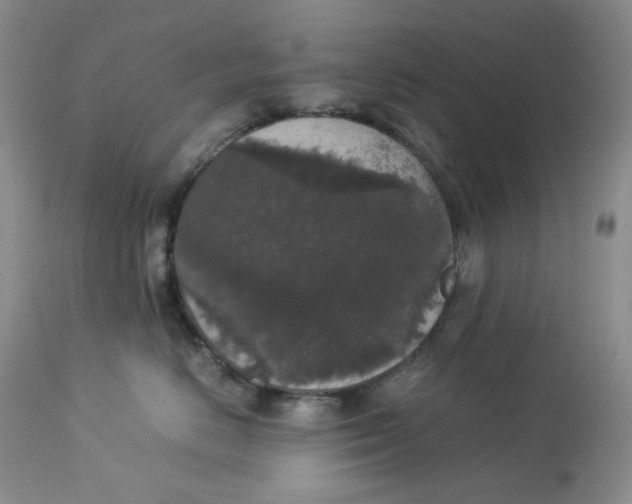 X0000112830670200909111400