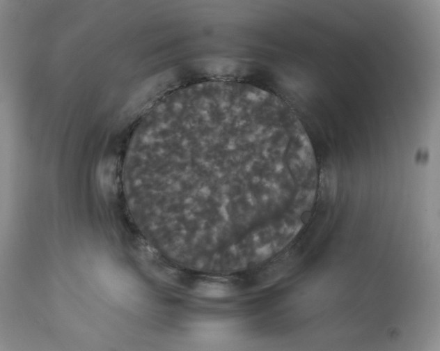 X0000112830671200909111400