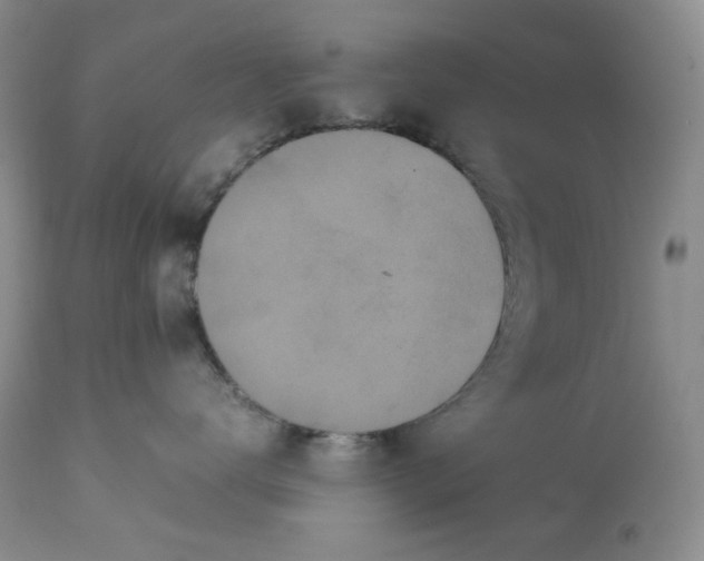 X0000112830672200909111400