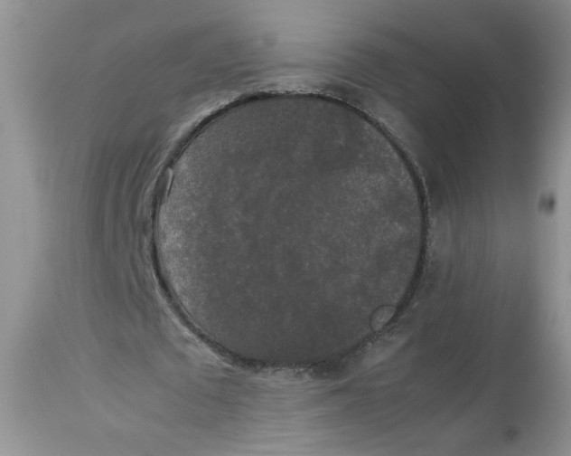 X0000112830673200909111359