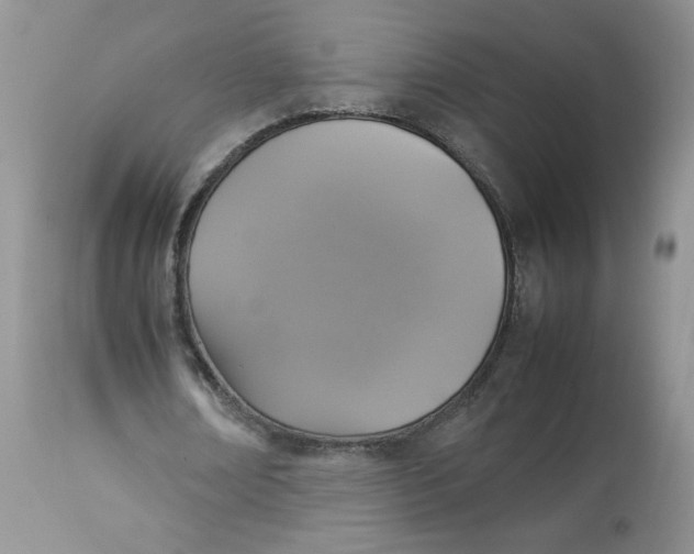 X0000112830674200909111359