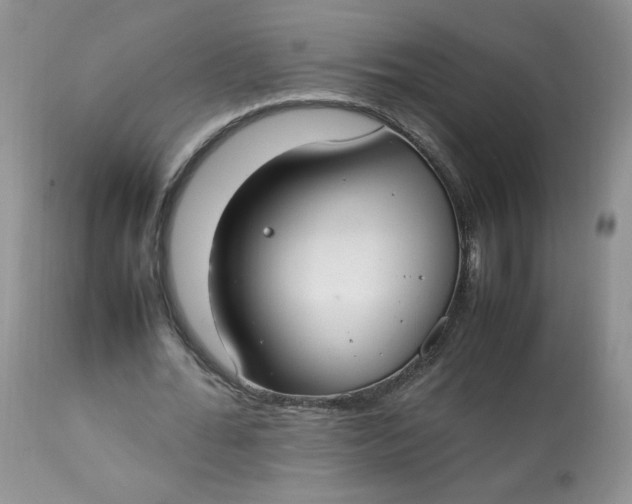 X0000112830676200909111359