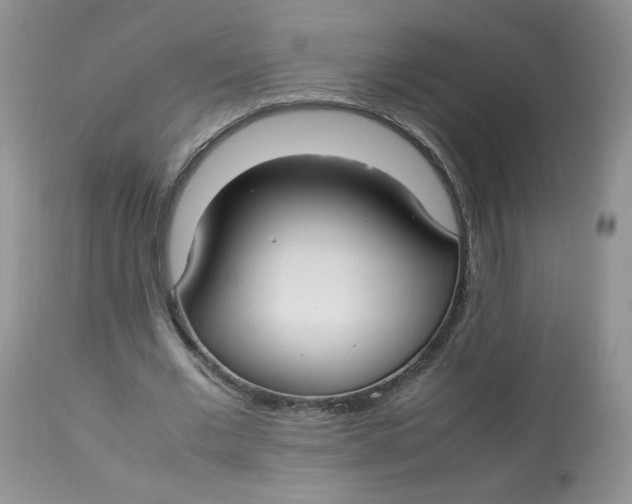 X0000112830677200909111359