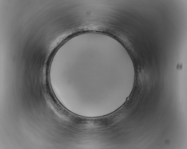 X0000112830678200909111359