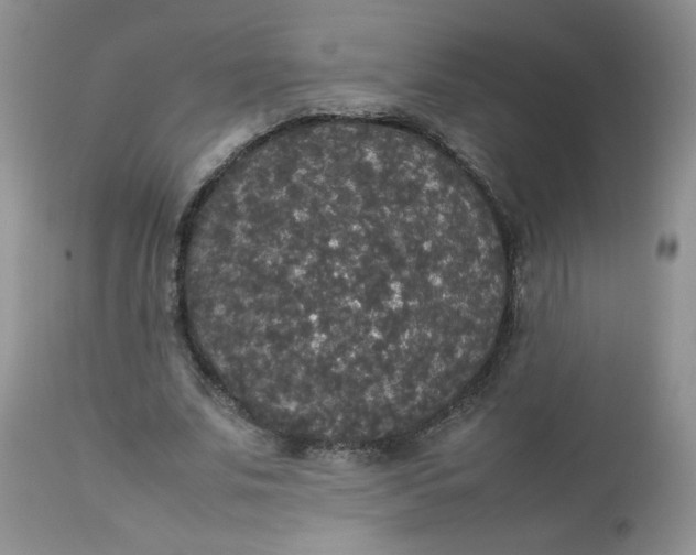 X0000112830679200909111359