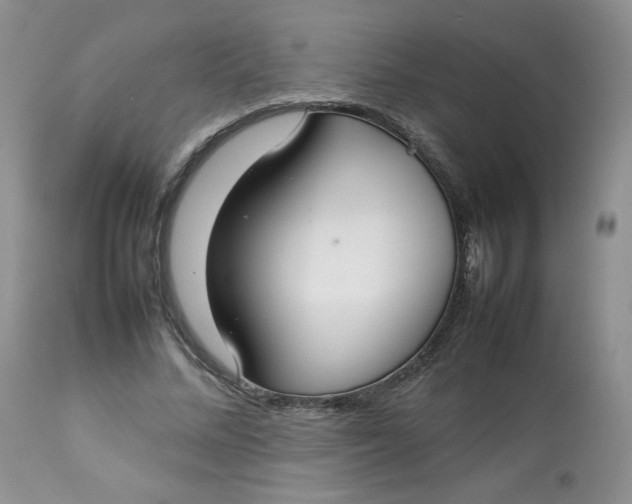 X0000112830684200909111359