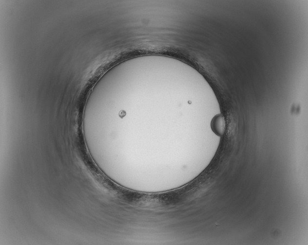 X0000112830685200909111359