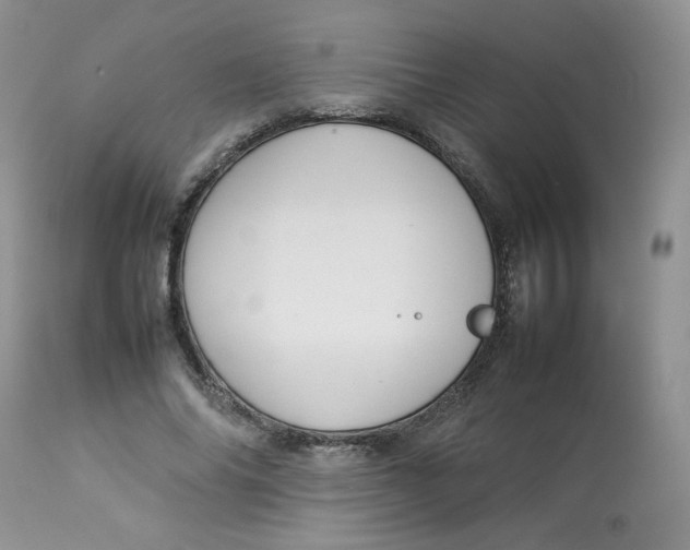 X0000112830686200909111359