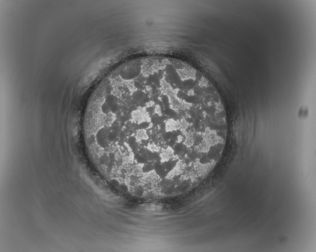 X0000112830687200909111359