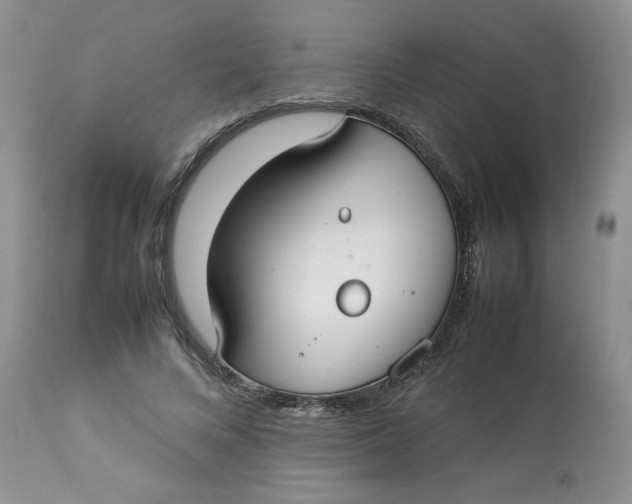 X0000112830688200909111358