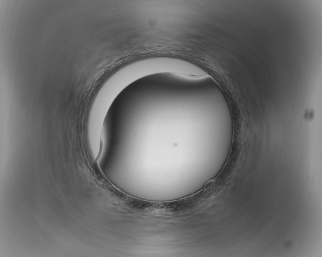 X0000112830689200909111358