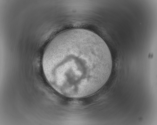 X0000112830691200909111358