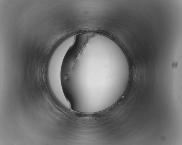 X0000112830692200909111358