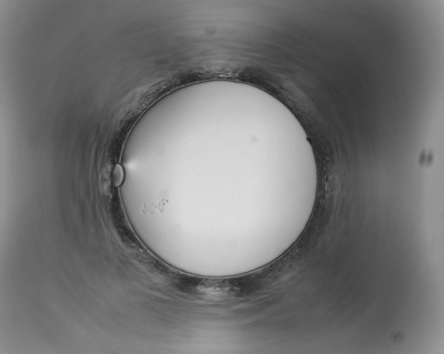 X0000112830693200909111358