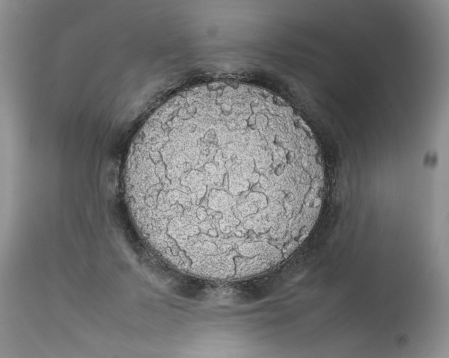 X0000112830695200909111358