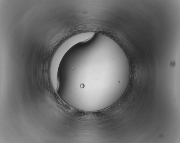 X0000112830696200909111358