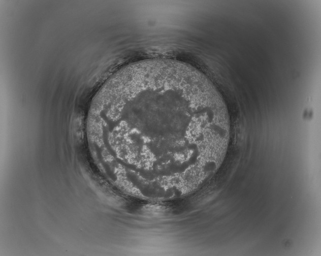 X0000112830699200909111358