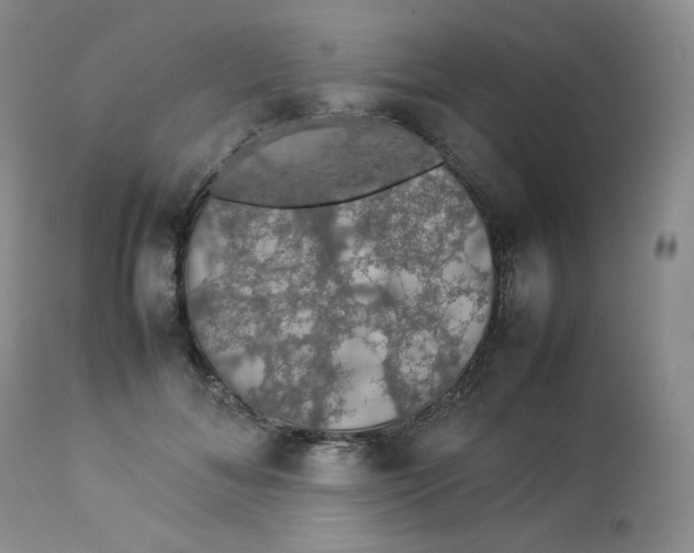 X0000112830700200909111358