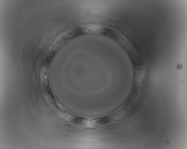 X0000112830701200909111358