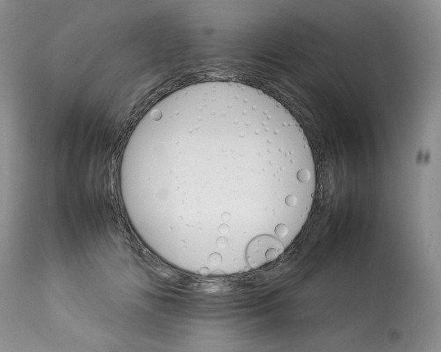 X0000112830702200909111358