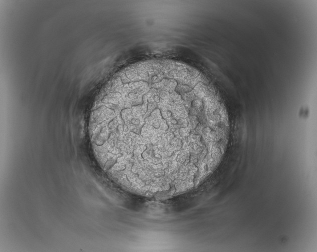 X0000112830703200909111358