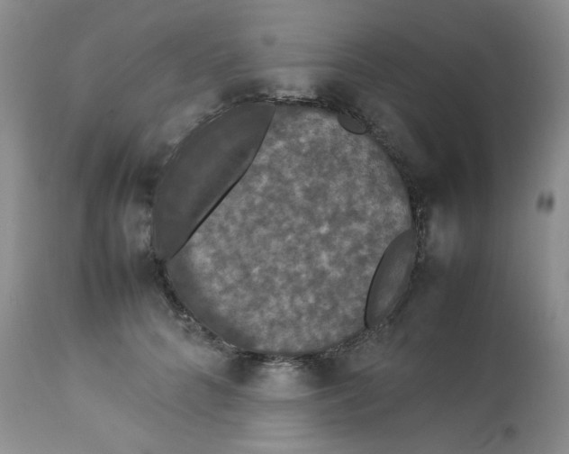 X0000112830704200909111358