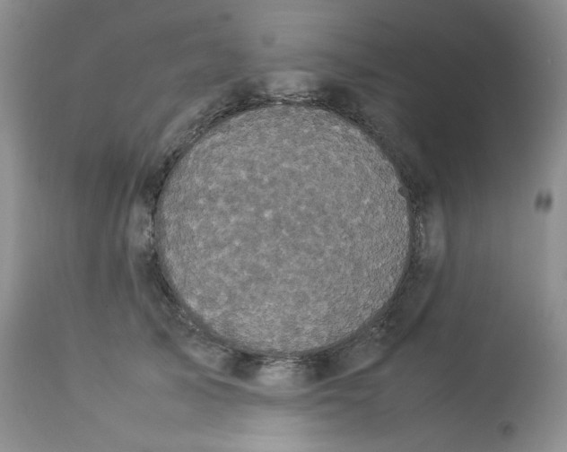 X0000112830705200909111358