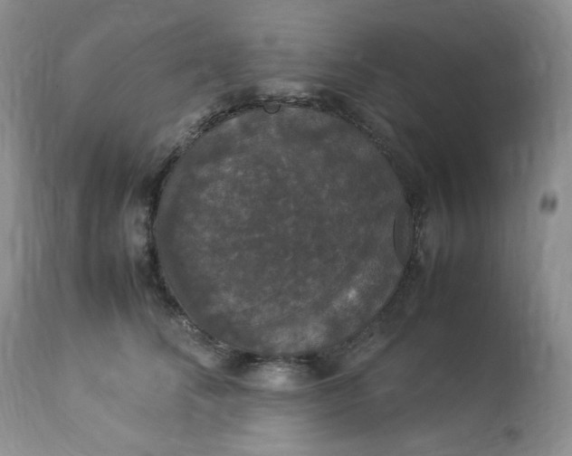 X0000112830708200909111358