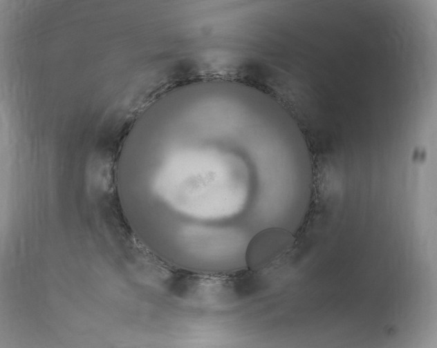 X0000112830709200909111358