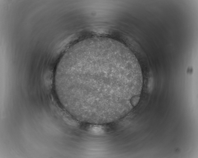 X0000112830710200909111358