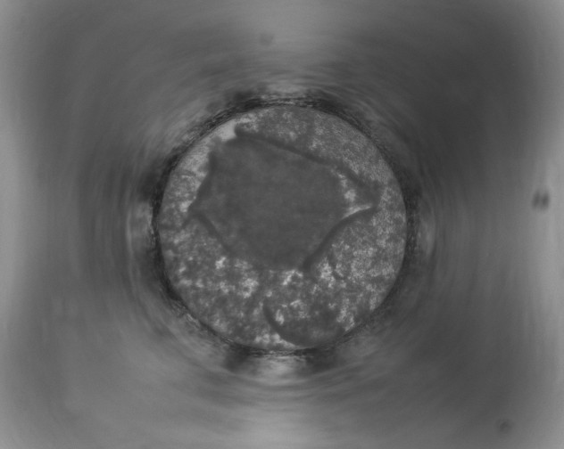 X0000112830711200909111358