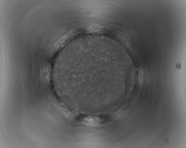 X0000112830712200909111358