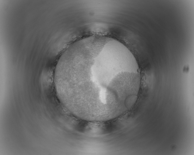 X0000112830713200909111358