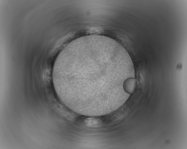 X0000112830714200909111358