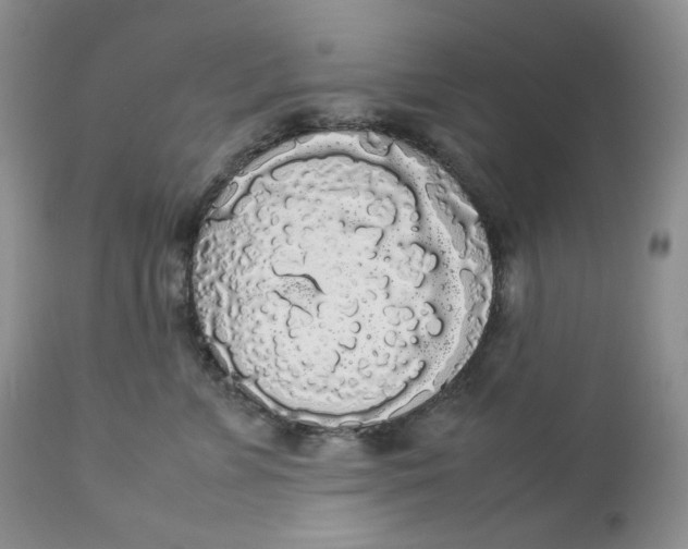 X0000112830715200909111358