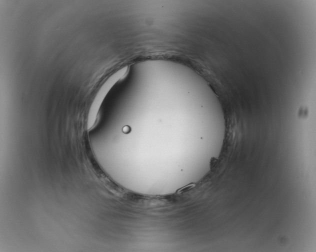 X0000112830716200909111358