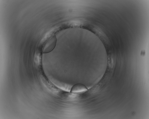 X0000112830718200909111358