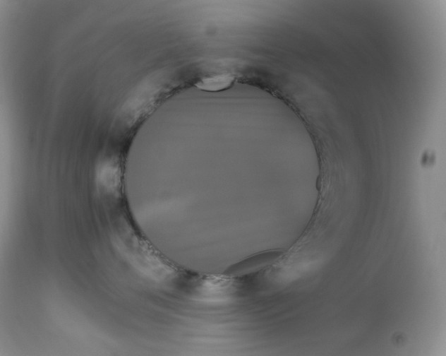 X0000112830720200909111358