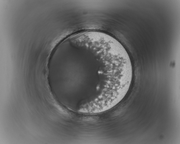 X0000112830721200909111357