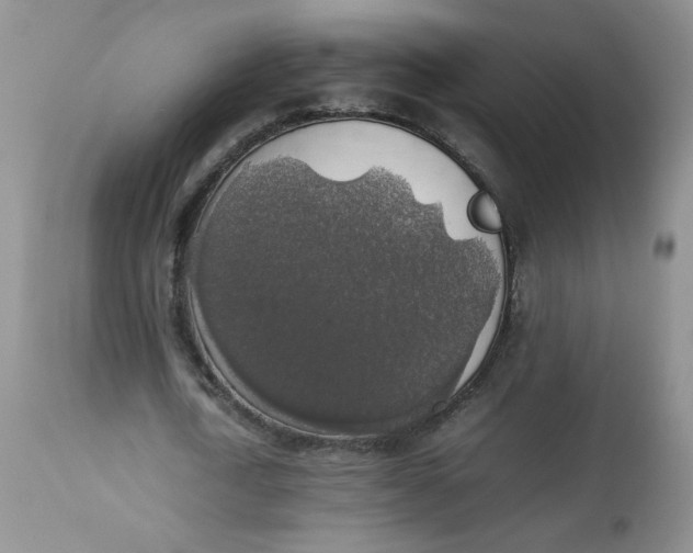 X0000112830722200909111357