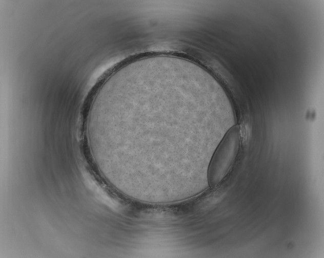 X0000112830724200909111357