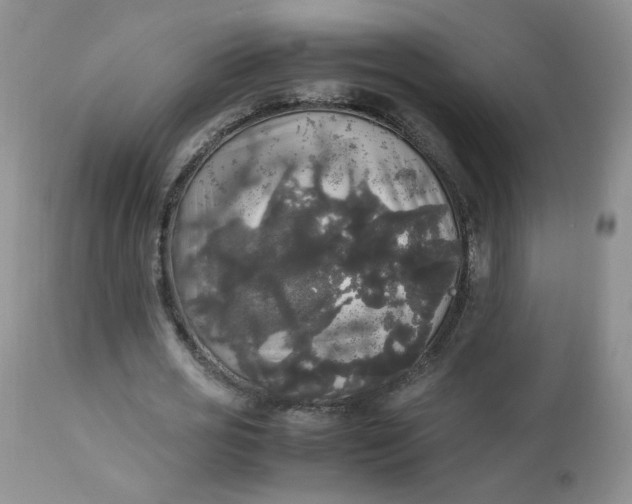 X0000112830725200909111357