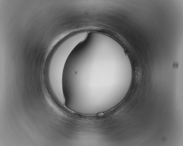 X0000112830726200909111357