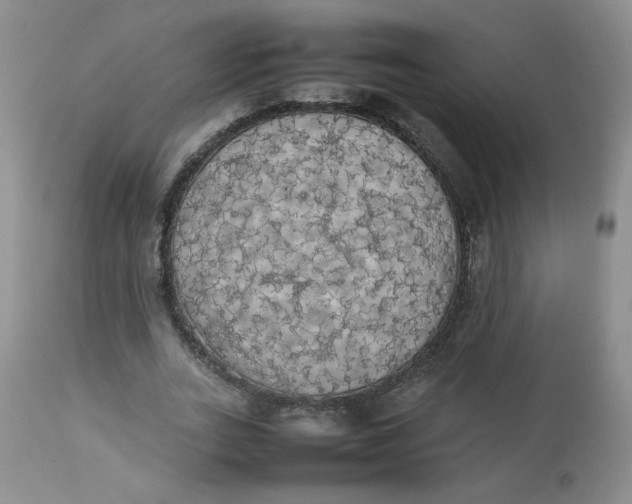 X0000112830727200909111357