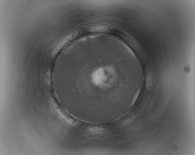 X0000112830729200909111357