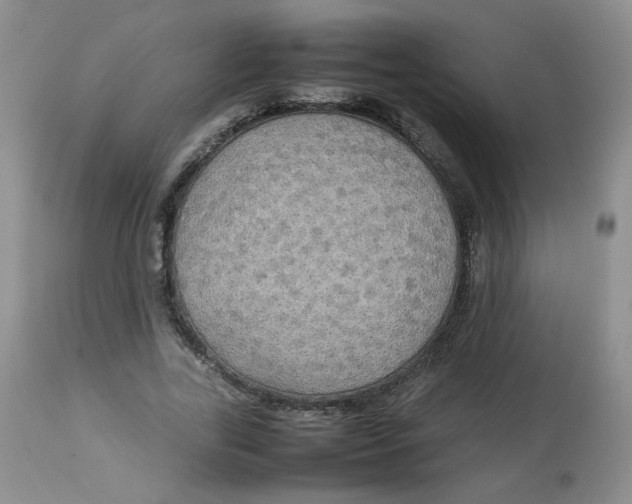 X0000112830731200909111357