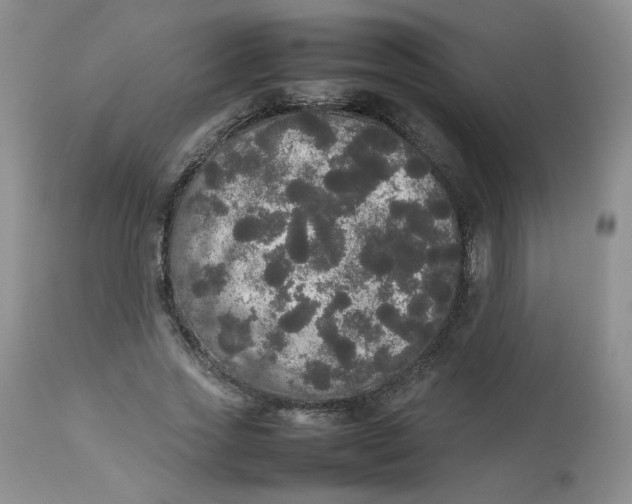 X0000112830733200909111357