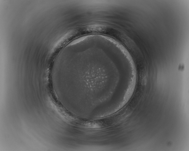 X0000112830735200909111357